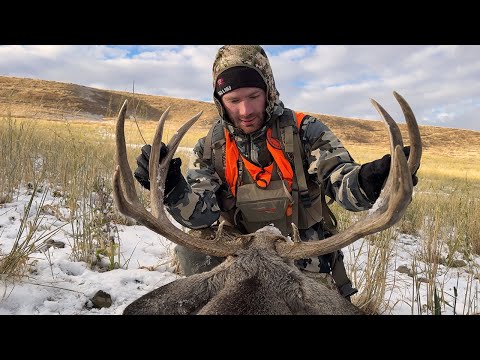 Видео: Первая поимка оленя! Выслеживание и подкрадывание оленя-мула в Монтане — 2 охоты!