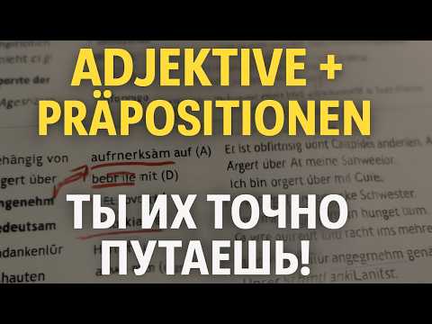 Видео: 📚 Немецкий язык: Прилагательные с предлогами B2 — Легко и с примерами! 🇩🇪