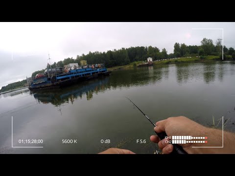 Видео: Кто живет у паромной переправы? Рыбалка на канале имени Москвы