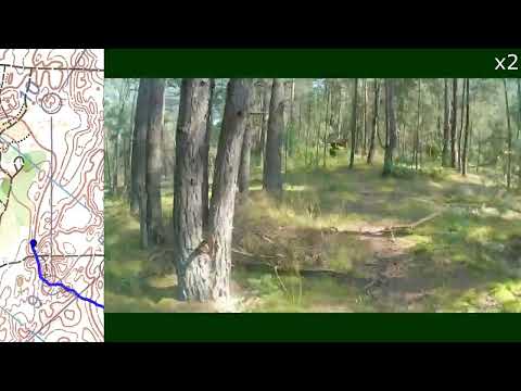 Видео: Headcam Orienteering #188 День физкультурника - 2024 2-й день, Славск 18 августа 2024 г.