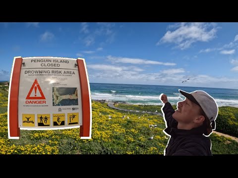 Видео: Пересекаем ОПАСНУЮ ПЕСЧАННУЮ ОТМЕЛЬ и попадаем в рыболовный рай! — Perth Tailor Fishing