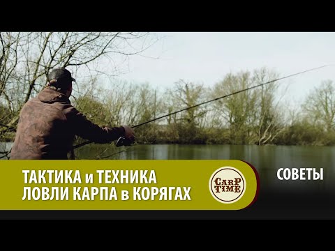 Видео: ТАКТИКА и ТЕХНИКА ловли карпа в КОРЯГАХ СОВЕТЫ