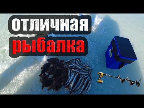 Видео: Зимняя рыбалка, поймали много наваги и камбалы