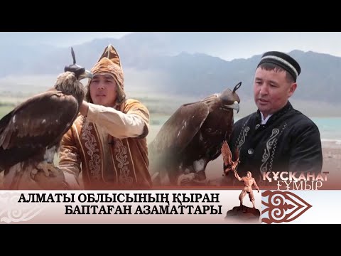 Видео: Сөгетінің семсер қанат қырандары. «Құсқанат ғұмыр»