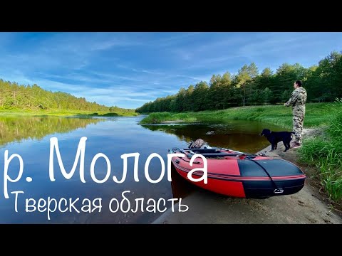 Видео: РЫБАЛКА В ТВЕРСКОЙ ОБЛАСТИ. Река Молога. Красивые места.