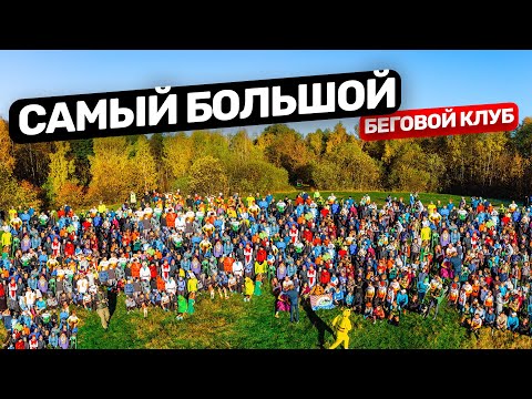 Видео: Про очень большой 🏃‍♀️ беговой клуб