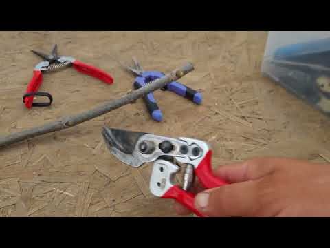 Видео: Очень классный секатор для винограда, сада, работать таким в радость.