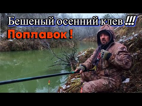 Видео: ОСЕННЯЯ РЫБАЛКА НА ПОПЛАВОК !!! Бешеный клев плотвы 1 ноября 2024г. Сузун !