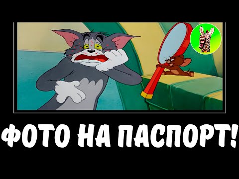 Видео: ФОТО НА ПАСПОРТ! | МУД ТОМ И ДЖЕРРИ ДЕМОТИВАТОР 1 БЕЗ МАТА
