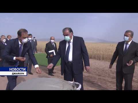 Видео: Аграрное общество Водии Заррин