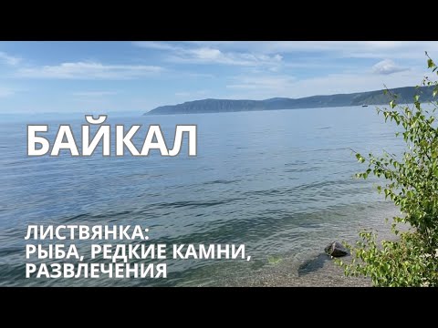 Видео: БАЙКАЛ 2023. Листвянка 50 км от Иркутска. Рынок и цены на омуль