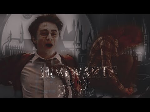 Видео: Hogwarts is my home||эстетика гарри поттера🕊️