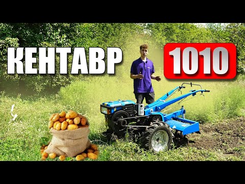 Видео: КРАЩІЙ ВИБІР!  10 К.С.  ДЕТАЛЬНИЙ ОГЛЯД ТА ТЕСТУВАННЯ