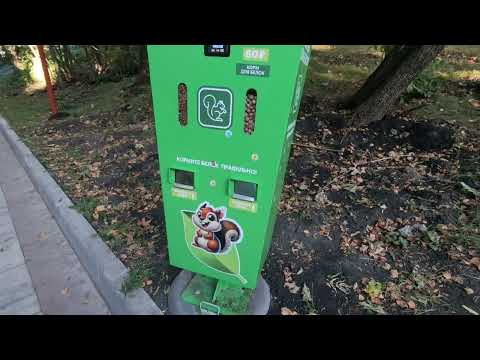 Видео: Пенза. Парк Белинского. Обновлённая тропа здоровья. Родник самовар.