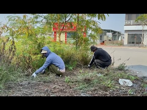 Видео: Стрижка высокой травы, очистка заросших тротуаров — от грязного до удивительного