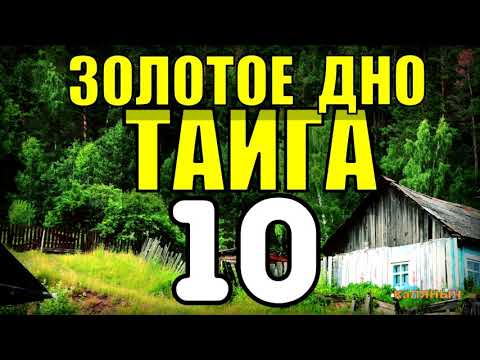 Видео: 20 ЛЕТ В ТАЙГЕ | ПОХОД В ГОРЫ | ЭКСПЕДИЦИЯ НА КРАЙ СВЕТА | медведь напал на человека в лесу 10