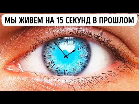 Видео: Наш мозг держит нас на 15 секунд в прошлом + 12 других невероятных фактов о теле