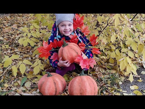 Видео: 🎃Тыква из папье-маше + Шпаклевка + акриловые краски= 😍💓👍МК.