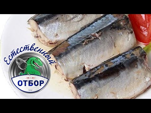 Видео: "Естественный отбор". Скумбрия атлантическая в масле консервы