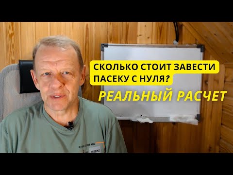 Видео: Сколько стоит завести пасеку с нуля? Реальный расчет #пасека #пчеловод #пчеловодство 