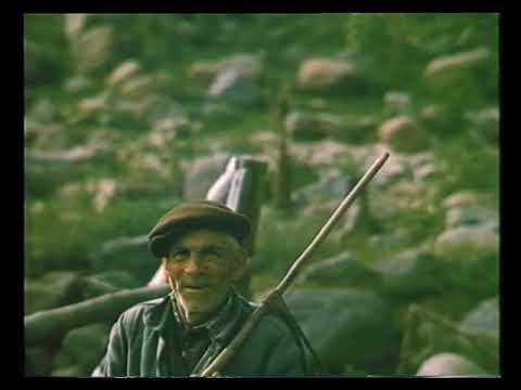 Видео: Чуйпетлово 1977 г.
