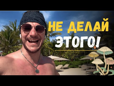 Видео: Вот что СВЯЩЕННЫЕ грибы сделают с вашей жизнью