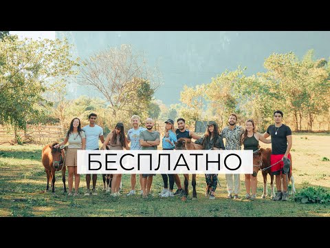 Видео: Как живут волонтеры с Workaway? #путешествия #волонтерство #workaway