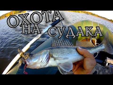 Видео: На что ловить Судака?Keitech,Lacky John.Рыбалка в Беларуси.Ловля Судака