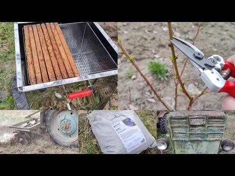 Видео: Перетопка воска | Обрезка персика | Посев фацелии