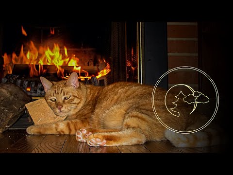 Видео: Рождественский Релакс, Мурлыканье КОШКИ у камина для сна, Relax for sleep A purring cat|fireplace #2