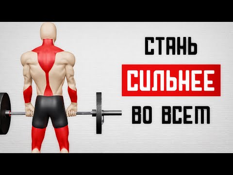 Видео: Как стать сильным! От чего зависит сила?