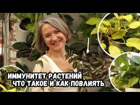 Видео: Иммунитет растений - что это такое, и как на него повлиять?..