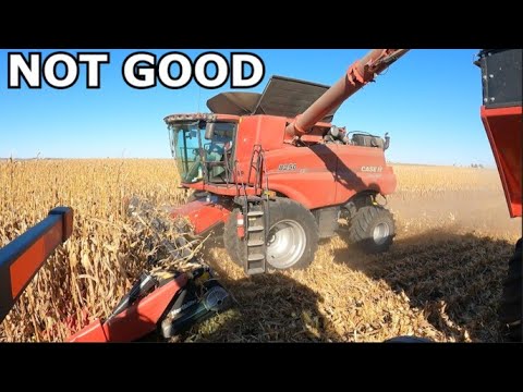 Видео: НАШ НОВЫЙ КОМБАЙН ОСТАНОВИЛСЯ КАК НА МЕСТЕ