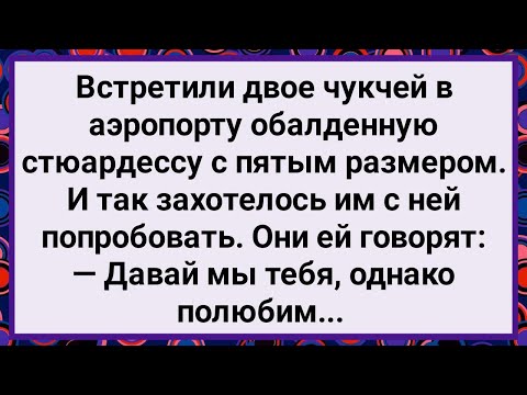 Видео: Как Два Чукчи Стюардессу Полюбили! Большой Сборник Свежих Смешных Анекдотов!
