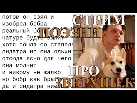 Видео: СТИХИ ПРО ЗВЕРУШЕК! (стрим поэзии 67)