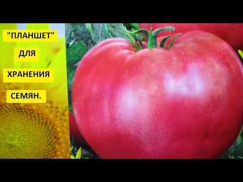 Видео: Как хранить семена? Мой удобный способ хранения семян.