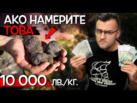 Видео: Топ 10 неща, които ако НАМЕРИТЕ сред ПРИРОДАТА, ще станете БОГАТИ