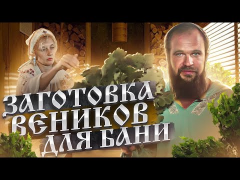 Видео: Как правильно заготовить веники для бани / русская баня