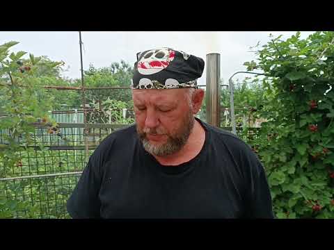 Видео: Нутрия в казане под настроение