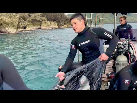 Видео: На южных островах есть рыбалка, где люди ныряют и ловят рыбу.