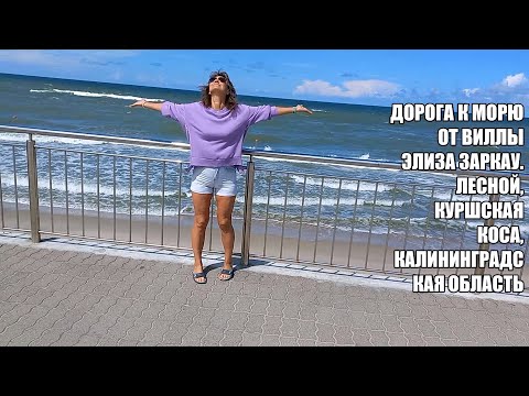 Видео: Дорога к морю от виллы "Элиза Заркау". Лесной, Куршская коса, Калининградская область, июль 2023.