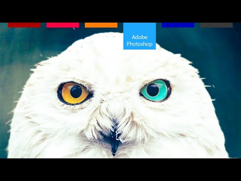 Видео: Как да променим цвета на очите | Photoshop урок за начинаещи