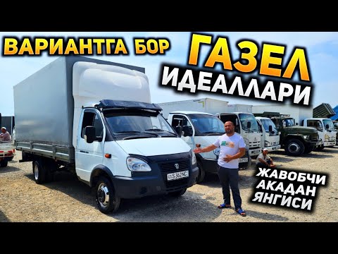 Видео: Газел бозори авжида! Жавобчи акадан заводской раздаткаси билан, варианга хам бор