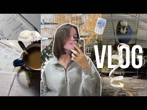 Видео: Vlog: профмат, общество, русский. моя подготовка к ЕГЭ, отдых🐈‍⬛