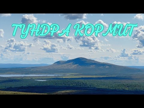 Видео: ТУНДРА КОРМИТ|РЫБАЛКА НА КОЛЬСКОМ|ЭНДУРО