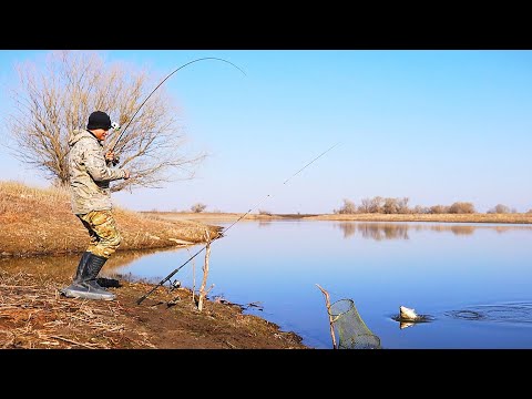 Видео: РЫБАЛКА НА КАРАСЯ. Проснулся родимый! Весна полным ходом, ловля на донки.