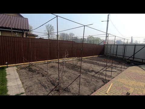 Видео: #12 Бюджетна шпалера для винограду з арматури
