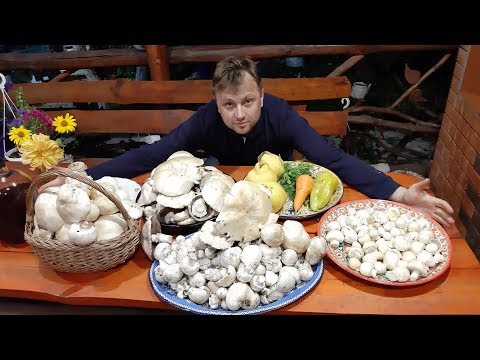 Видео: Хит Сезона. Грибы с Картошкой в Казане на Костре.