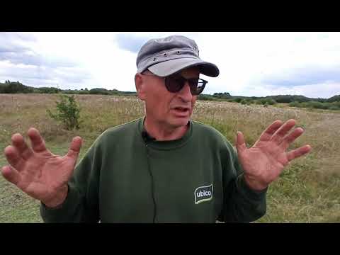 Видео: Что скрывают берега Ясельды