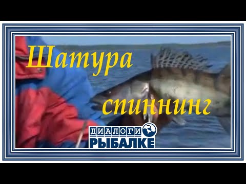 Видео: Диалоги о рыбалке - 041 /Шатура, Спиннинг